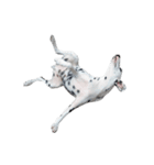 Funny Dalmatian Dogs（個別スタンプ：40）