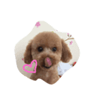 BARON-kun（個別スタンプ：4）