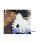 陸空ラテショコラココ達2（個別スタンプ：15）