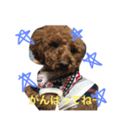 ビビの日常part2（個別スタンプ：4）