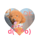 ビビの日常part2（個別スタンプ：8）