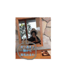 あやあやスタンプ（個別スタンプ：11）