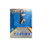 あやあやスタンプ（個別スタンプ：24）