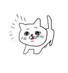 毎日が猫ちゃん2（個別スタンプ：11）