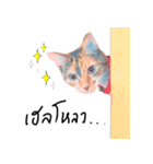 What does the cat say？ TH（個別スタンプ：1）