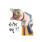 What does the cat say？ TH（個別スタンプ：4）