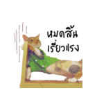 What does the cat say？ TH（個別スタンプ：8）