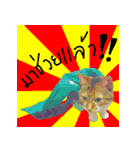 What does the cat say？ TH（個別スタンプ：11）