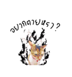 What does the cat say？ TH（個別スタンプ：13）