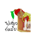What does the cat say？ TH（個別スタンプ：21）