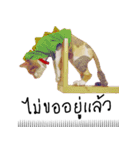 What does the cat say？ TH（個別スタンプ：22）