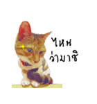 What does the cat say？ TH（個別スタンプ：23）