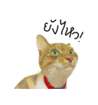 What does the cat say？ TH（個別スタンプ：26）