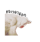 What does the cat say？ TH（個別スタンプ：28）
