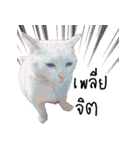 What does the cat say？ TH（個別スタンプ：31）