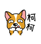 Just Dogs（個別スタンプ：4）