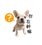 Family Yuan（個別スタンプ：9）