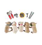 Family Yuan（個別スタンプ：20）