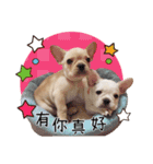 Family Yuan（個別スタンプ：21）