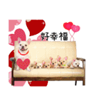 Family Yuan（個別スタンプ：22）