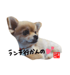 福太郎2（個別スタンプ：1）