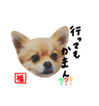 福太郎2（個別スタンプ：3）