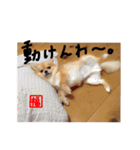 福太郎2（個別スタンプ：20）