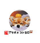 福太郎2（個別スタンプ：24）