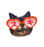 超でかチワワあもんのスタンプ第三弾！（個別スタンプ：4）
