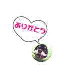 超でかチワワあもんのスタンプ第三弾！（個別スタンプ：13）