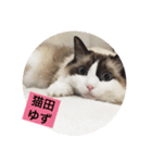 猫田ゆず（個別スタンプ：1）