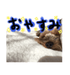 ロンたん（個別スタンプ：1）
