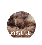 happy-happy-2018（個別スタンプ：5）
