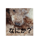 happy-happy-2018（個別スタンプ：14）