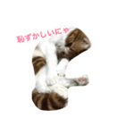 バニラくんと一緒 2（個別スタンプ：1）