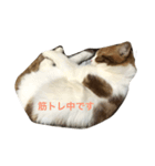 バニラくんと一緒 2（個別スタンプ：5）