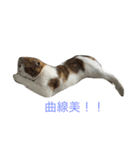 バニラくんと一緒 2（個別スタンプ：6）