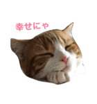バニラくんと一緒 2（個別スタンプ：8）