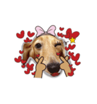 Dachshund GaGa part9(LOVE)（個別スタンプ：3）