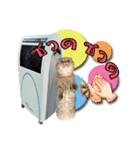 GF kitchen 2（個別スタンプ：1）
