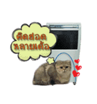 GF kitchen 2（個別スタンプ：2）