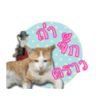 GF kitchen 2（個別スタンプ：4）