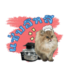 GF kitchen 2（個別スタンプ：10）