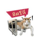 GF kitchen 2（個別スタンプ：14）