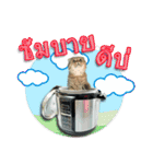 GF kitchen 2（個別スタンプ：20）