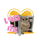 GF kitchen 1（個別スタンプ：11）