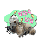 GF kitchen 1（個別スタンプ：16）