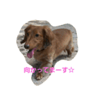chibi2011（個別スタンプ：6）