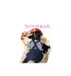 ちなまる4（個別スタンプ：1）