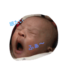 shuka 2（個別スタンプ：21）